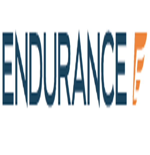 Endurance  logo
